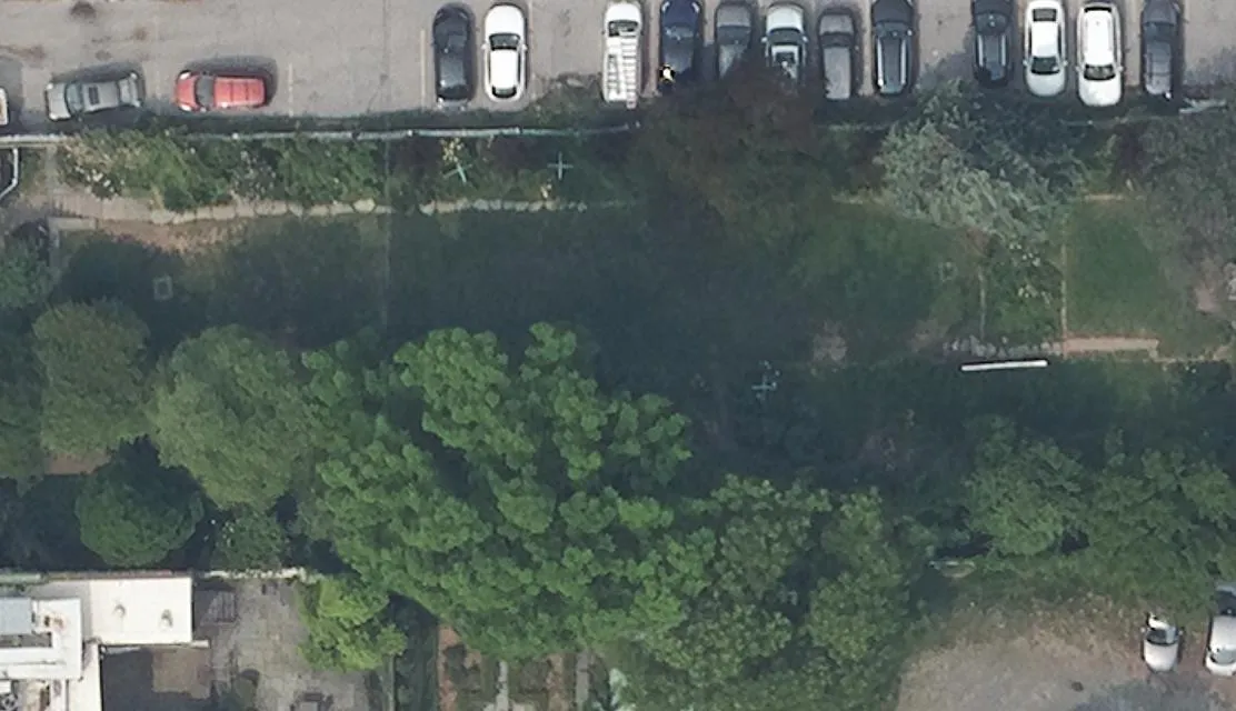 An aerial photo of a long garden where the open lawn on one side disappears under thick tree canopy on the other.